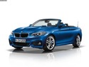 Радиатор за кола за BMW 2 Ser (F23) кабриолет от 2014