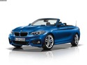 Маслен радиатор за BMW 2 Ser (F23) кабриолет от 2014