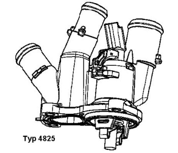 218146.jpg