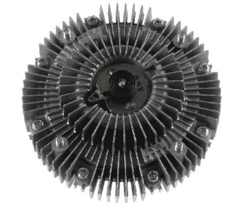 335717.jpg