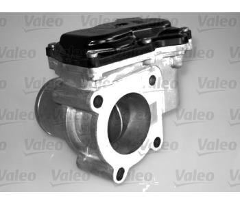 342911.jpg
