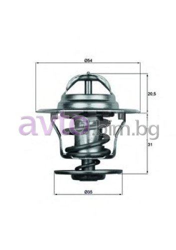 Термостат, охладителна течност BorgWarner (Wahler) 4264.87D