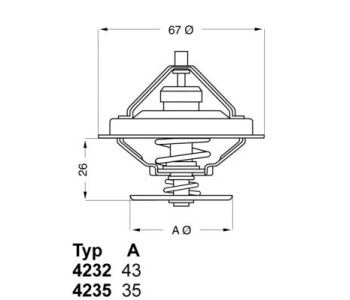 596536.jpg