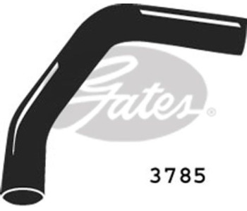 650316.jpg