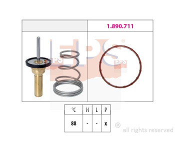 710302.jpg