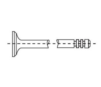 776554.jpg