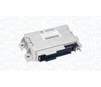 781033.jpg