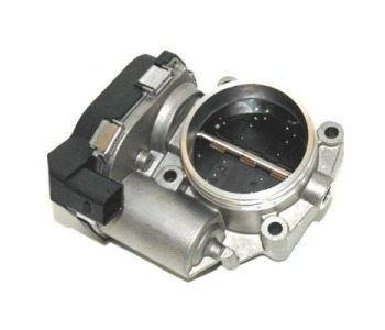 790184.jpg