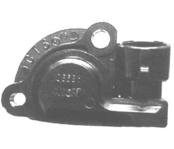795989.jpg
