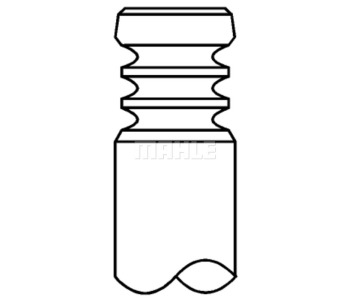 796147.jpg