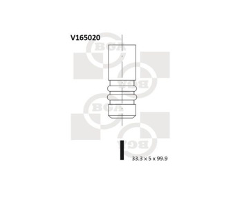 806961.jpg