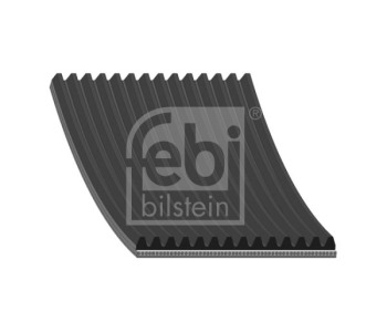 807041.jpg