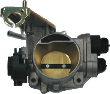 823041.jpg