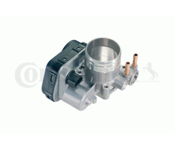 824712.jpg