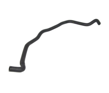 824982.jpg