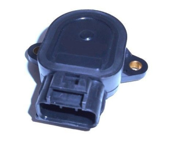 850843.jpg